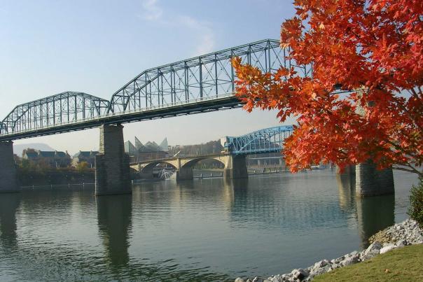 Fall Foliage At The Walnut Street Bridge