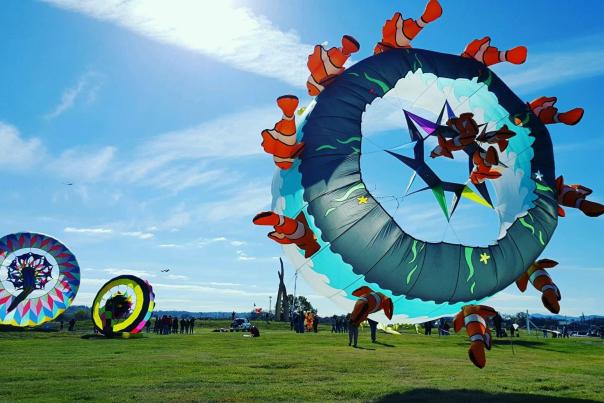 CHA_Sculpture Fields at Montague Park