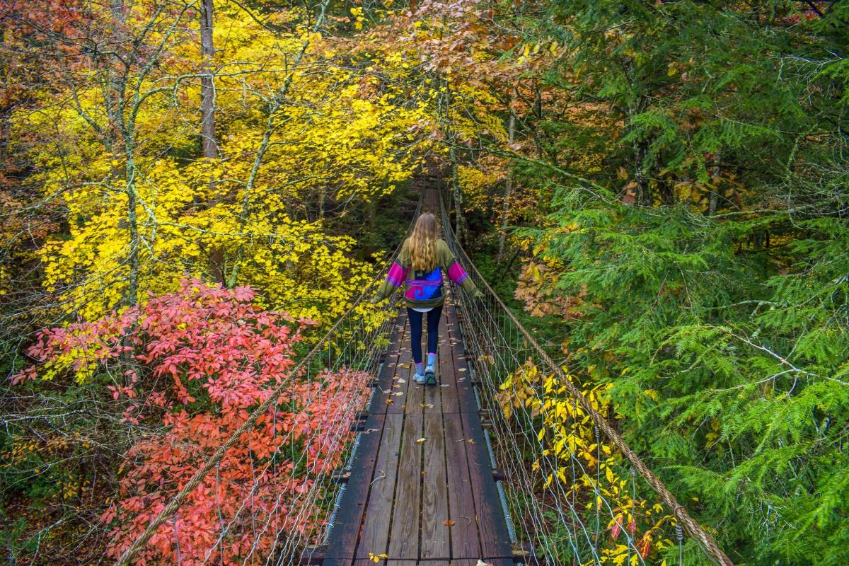 woman walks across swinging bridge on hike at Fall Creek Falls with fall foliage around her