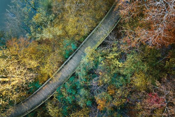 aerial view of South Chickamauga Greenway in the fall at Sterchi Farm Trailhead shows baordwalk snaking its way over wetlands and surrounded by trees