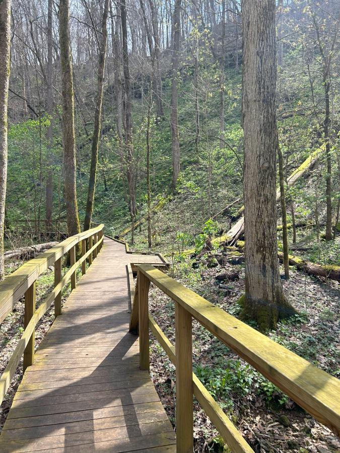 Pocket Shirley walking trail